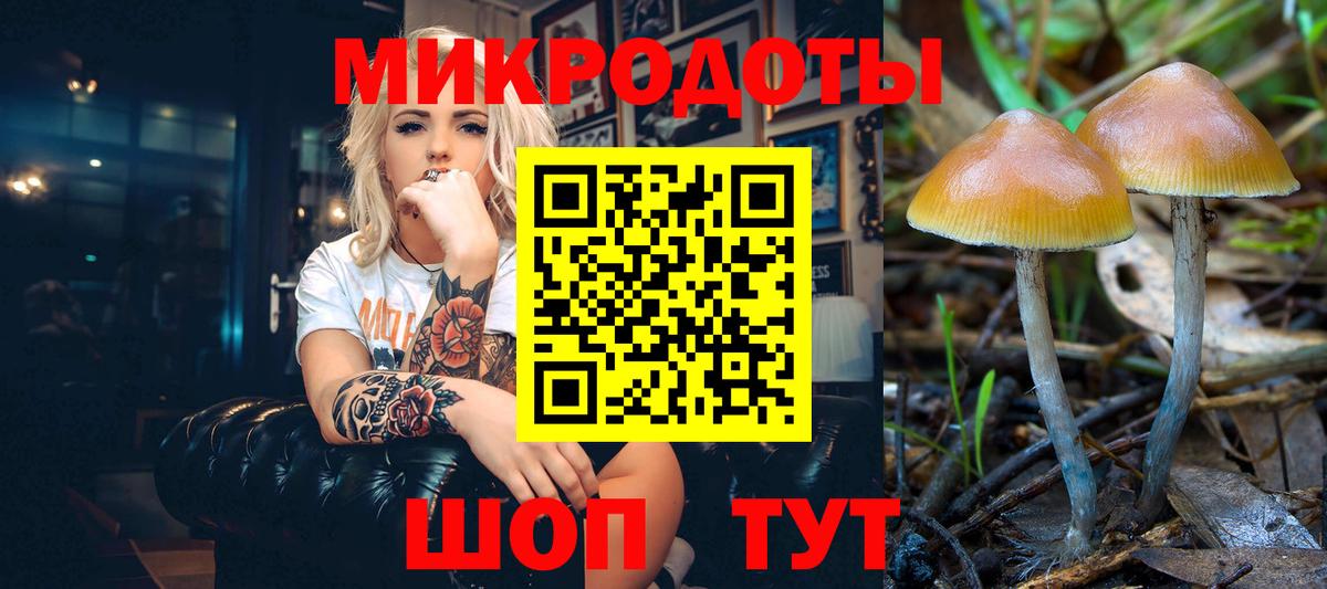 Лыткарино  Галлюциногенные грибы Psilocybe  Вход с VPN  Псилоцибиновые грибы MAGIC MUSHROOMS 